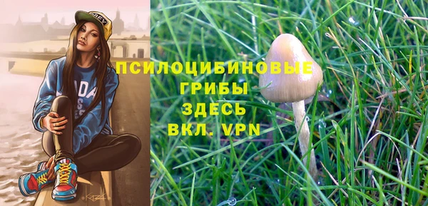 a pvp Балахна