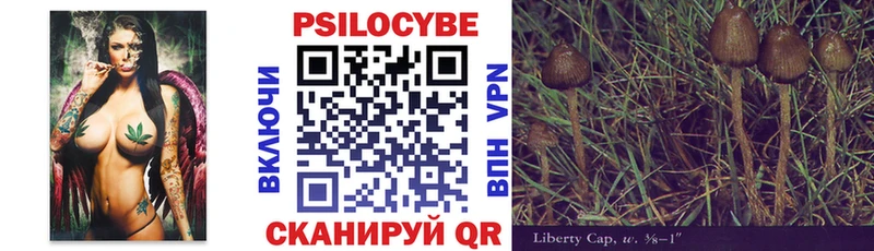 shop состав  что такое наркотик  Фёдоровский  Псилоцибиновые грибы Cubensis 